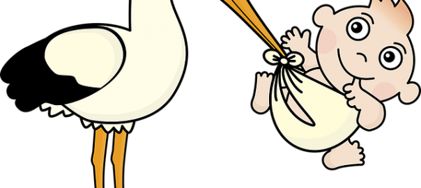 stork and baby