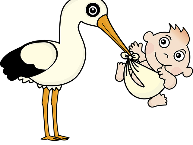 stork and baby