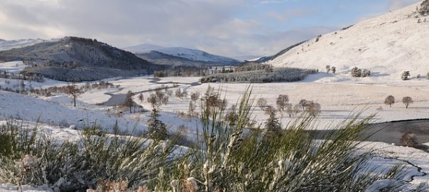 Deeside