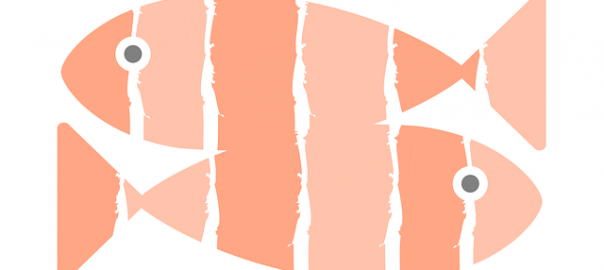 fish graphic