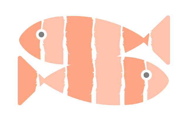 fish graphic