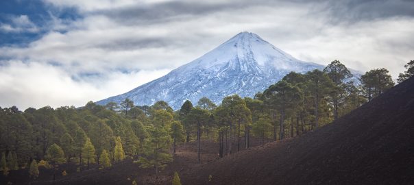 view-of-mount-teide-from-the-valley